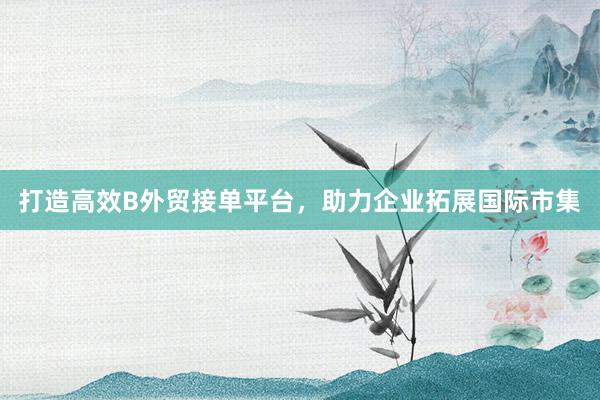 打造高效B外贸接单平台，助力企业拓展国际市集