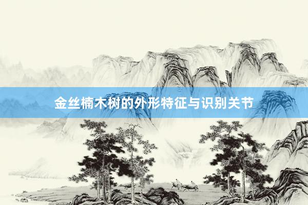 金丝楠木树的外形特征与识别关节