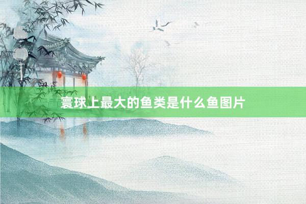 寰球上最大的鱼类是什么鱼图片