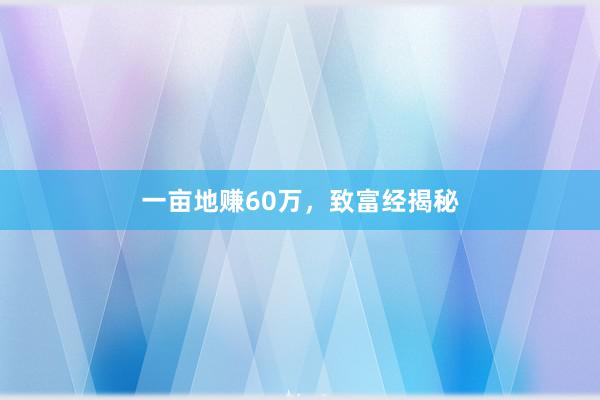 一亩地赚60万，致富经揭秘